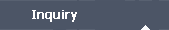 Inquiry