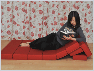 Transformer Type 1<br />(triangular back support cushion)